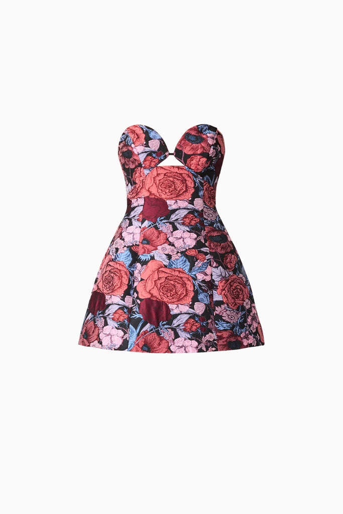 Delphine Tulip Mini Dress in Pink & Black Floral