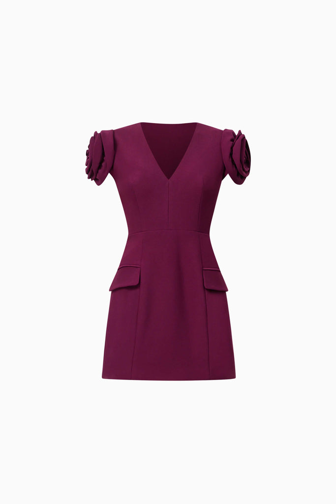 Theresa V-Neck Mini Dress in Burgundy