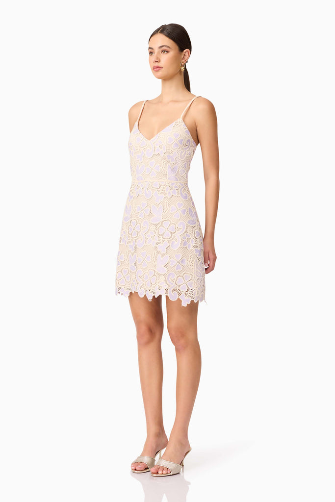 Jasmine Crochet Mini Dress in Purple & Beige