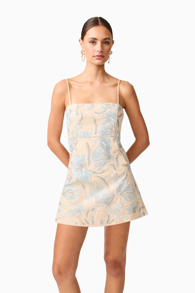 Nia Embroidered Mini Dress in Beige