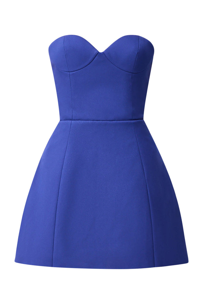 Beatrix Tulip Mini Dress in Blue