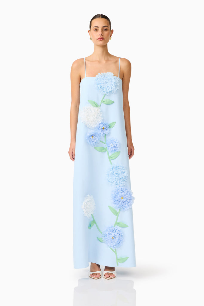 Buttercup Embroidered Maxi Dress In Blue