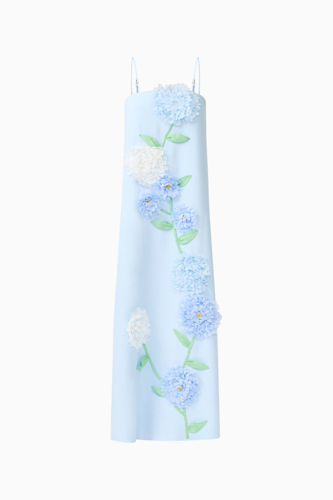 Buttercup Embroidered Maxi Dress In Blue