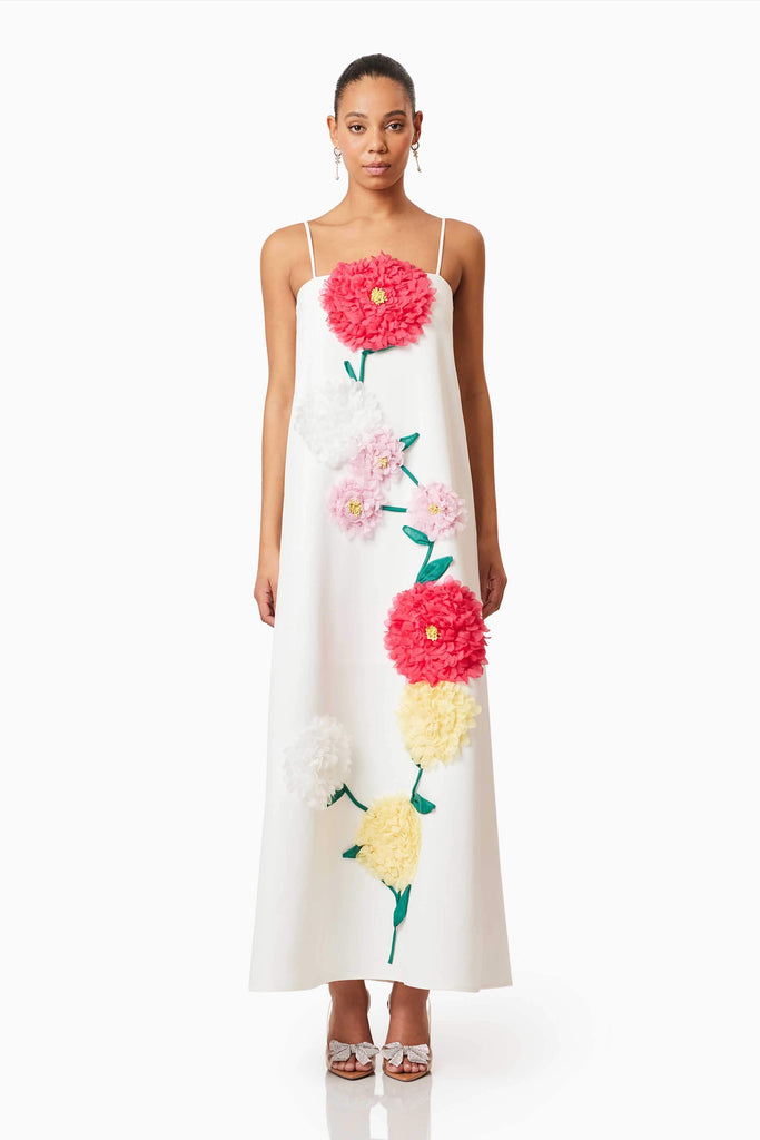 Buttercup Embroidered Maxi Dress in White