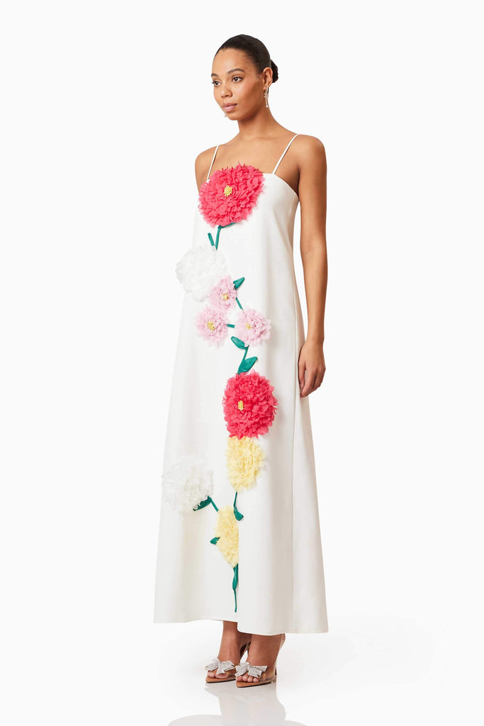 Buttercup Embroidered Maxi Dress in White