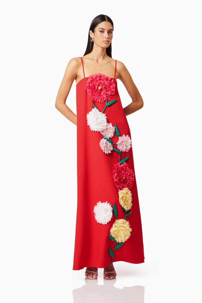 Buttercup Embroidered Maxi Dress In Red