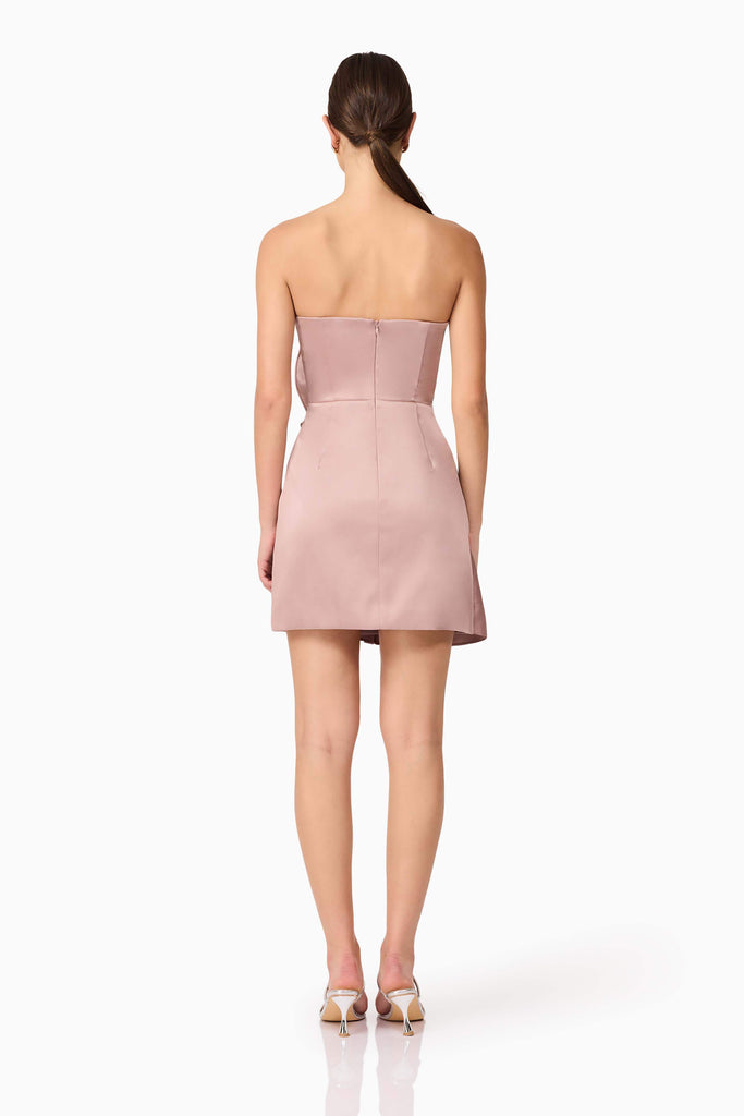 Laura Strapless Mini Dress in Pink