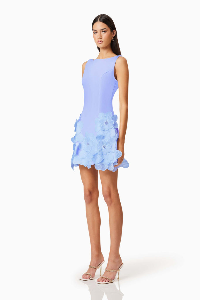 Janelle Mini Dress in Blue