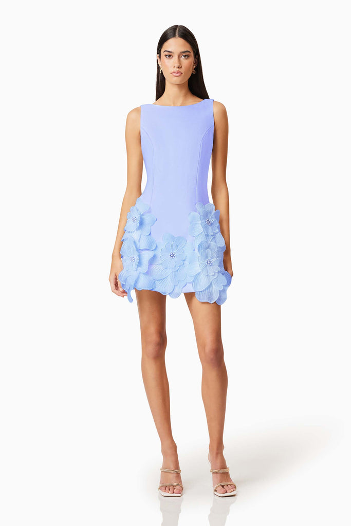 Janelle Mini Dress in Blue