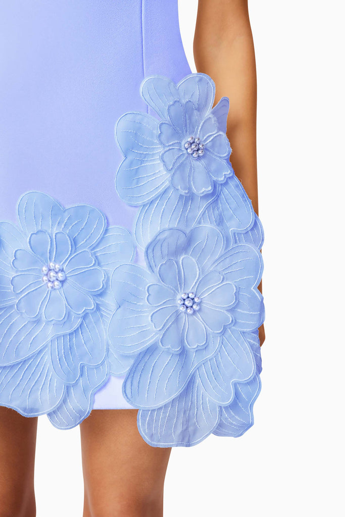 Janelle Mini Dress in Blue