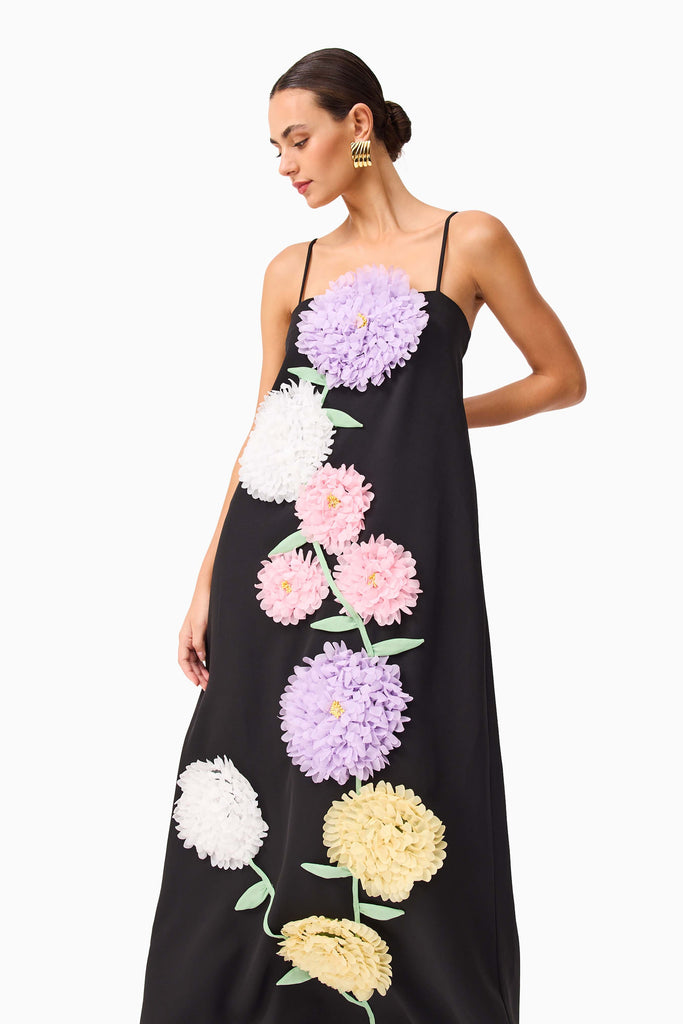 Buttercup Embroidered Maxi Dress in Black