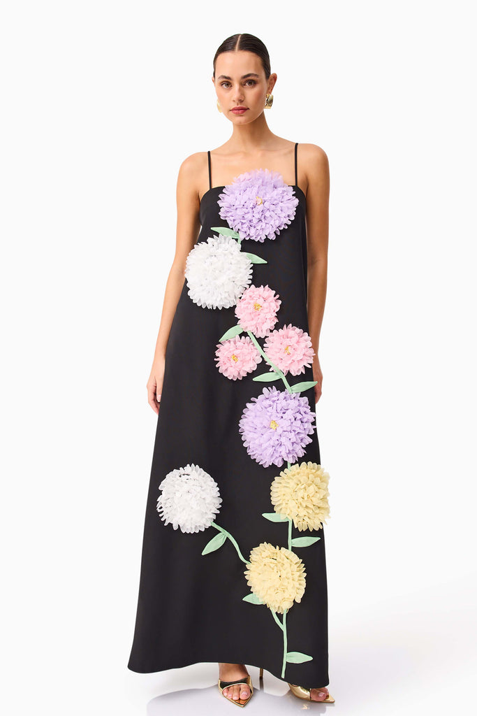 Buttercup Embroidered Maxi Dress in Black