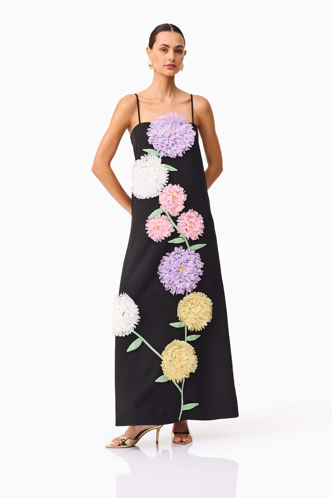 Buttercup Embroidered Maxi Dress in Black