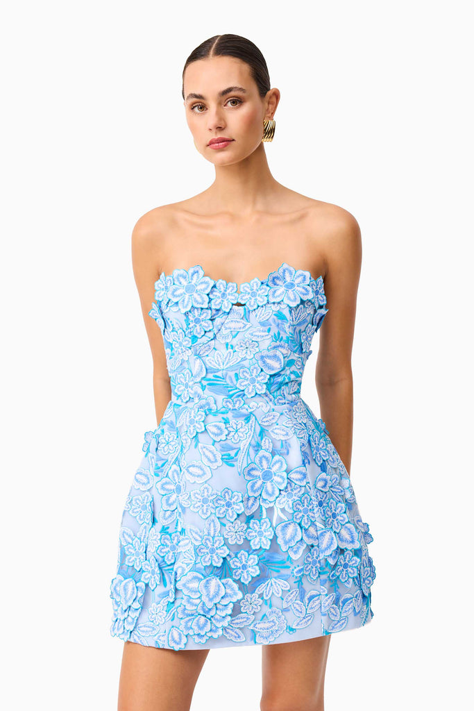 Roseate Floral Mini Dress in Blue