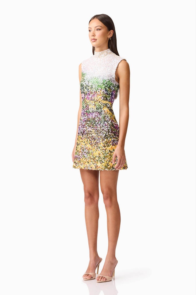 Arden Shift Mini Dress in Multi Ombre