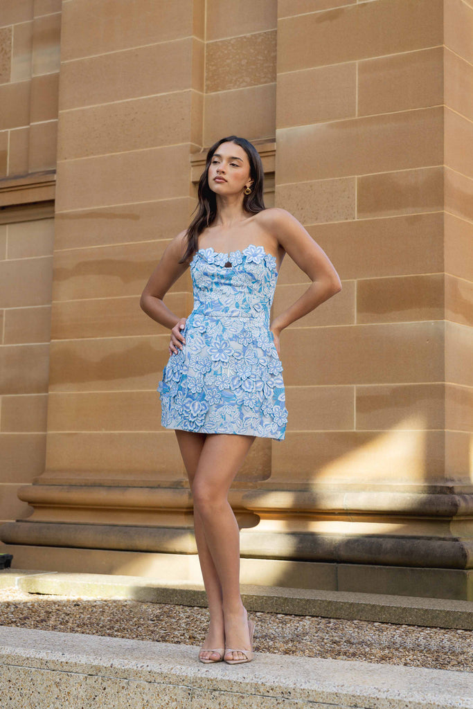 Roseate Floral Mini Dress in Blue